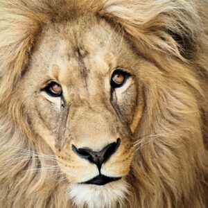 Fixed Price for Each Currency Test